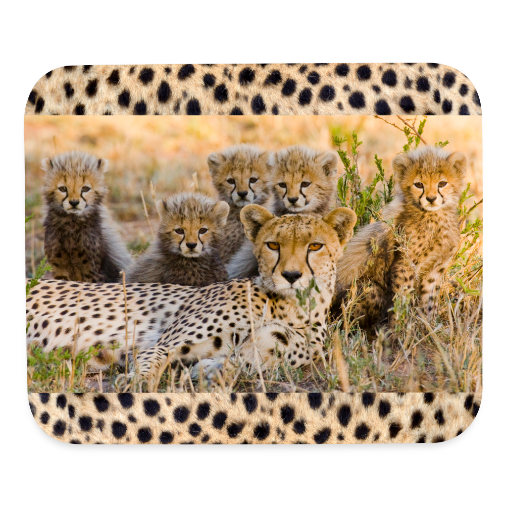 9036 Cheetah Family w Border MOUSE PAD - white