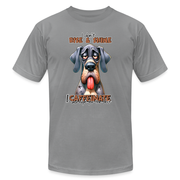 66040 I Caffeinate - Great Dane B&C TSHIRT - slate