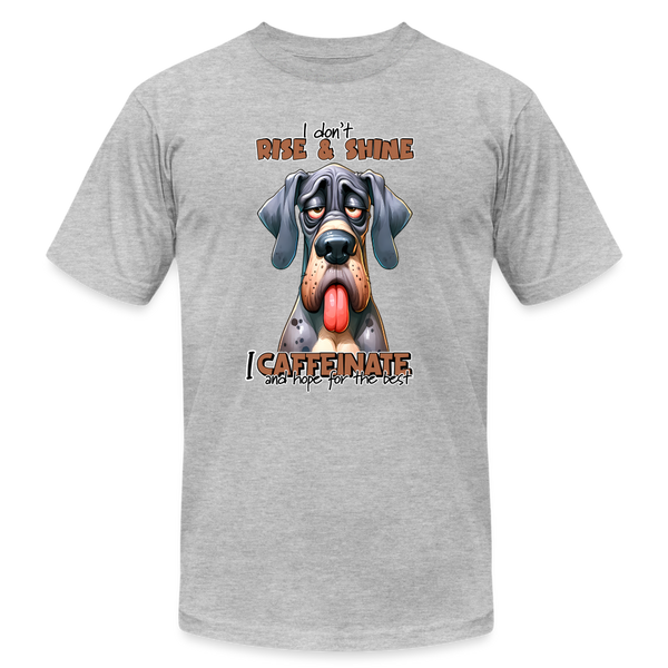 66040 I Caffeinate - Great Dane B&C TSHIRT - heather gray